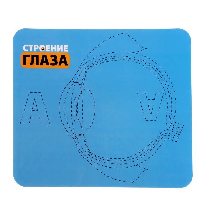 Набор для опытов «Моё тело», глаз Набор для опытов «Моё тело», глаз