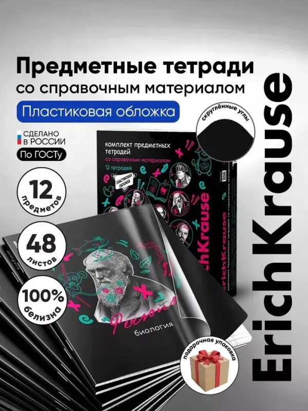 Набор предметных тетрадей ErichKrause. Persons, 12 предметов, 48 листов, со справочным материалом, обложка из мелованного картона