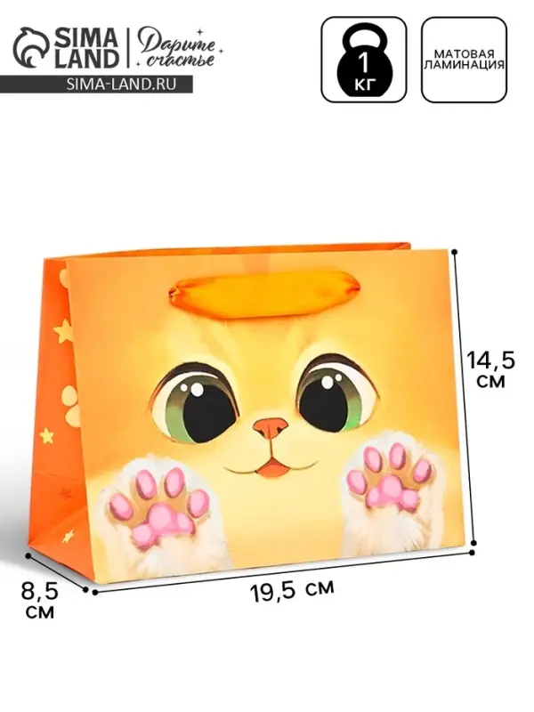 Пакет подарочный «Котик», 19.5 х 14.5 х 8.5 см Пакет подарочный «Котик», 19.5 х 14.5 х 8.5 см