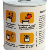 ЭВРИКИ Набор для опытов "Мой мини-сад", подсолнух