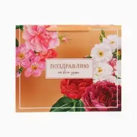 Пакет подарочный горизонтальный &laquo;Поздравляю от всей души&raquo;, 49&times;40&times;19 см