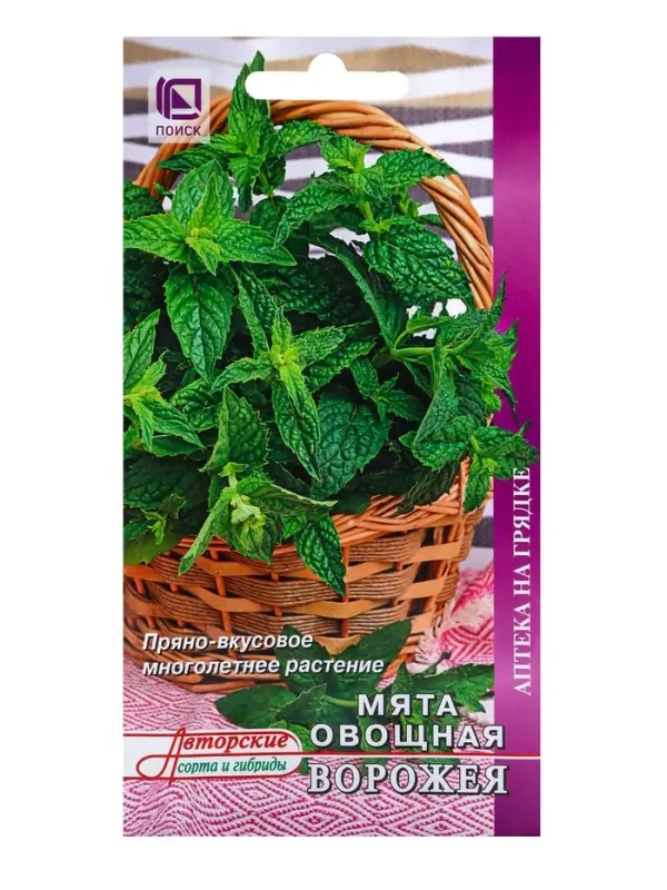 Семена Мята овощная  Семена Мята овощная "Ворожея", 0,1 г