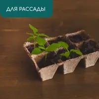 Кассета для рассады, 28 × 20 × 9 см, 6 ячеек по 400 мл, торф, 9 × 9 см