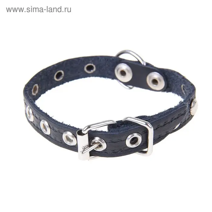 Ошейник тисненый однослойный, 31&times;1.2 см, украшенный, кожа, цвет МИКС