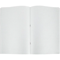 Книга учета Выбор есть А4 96л клетка блок типограф обл. картон