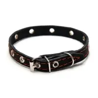 Ошейник кожаный однослойный с рифлеными люверсами, 35&times;1.2 см, ОШ 10-28 см, безразмерный, микс цветов