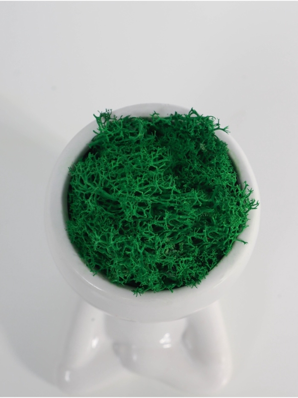 Кашпо керамика  Кашпо керамика "Мистер Грин йог" 11,5*7*8 см белый