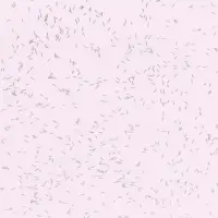 Пленка для цветов, "Звёздное небо", розовый, 57х57 см