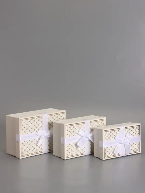 Наборок коробок 3 в 1 прямоугольные 23*16*9.5 21*14*8.0 19*12*6.5 см