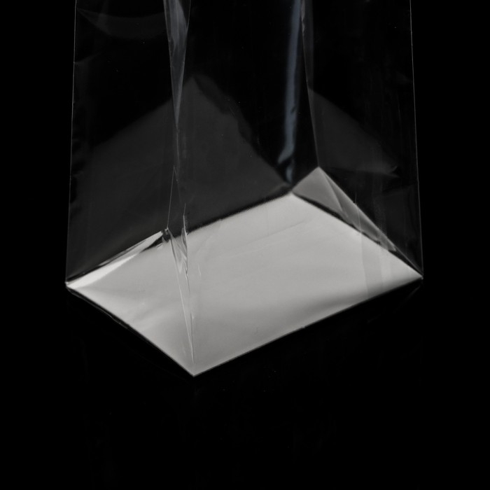 Пакет с жестким дном 11 х 17 х 55 Пакет с жестким дном 11 х 17 х 55 "Прозрачный"