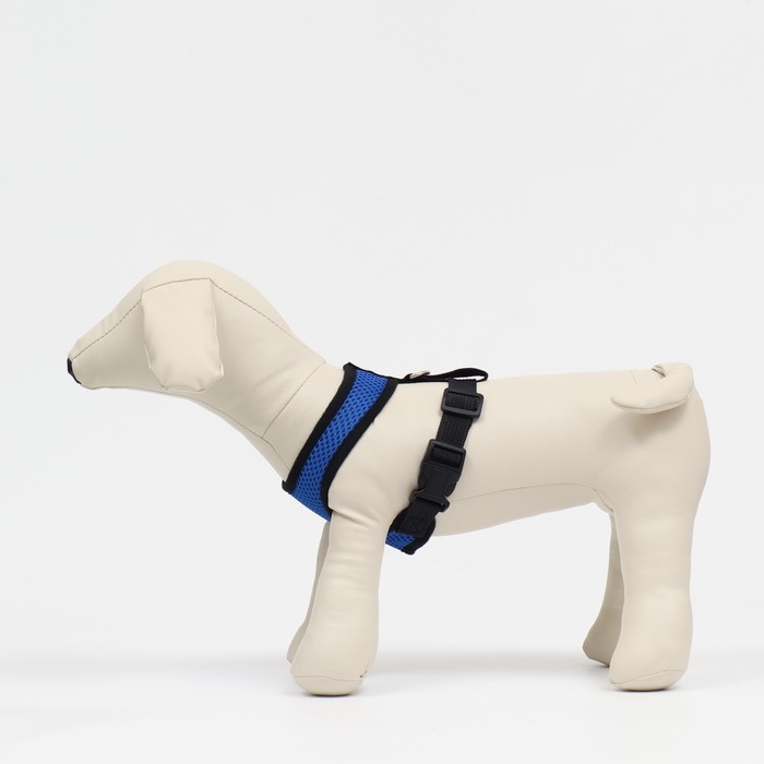 Шлейка мягкая из неопрена, размер M, ОШ 34 см, ОГ 32-42 см, синяя Шлейка мягкая из неопрена, размер M, ОШ 34 см, ОГ 32-42 см, синяя