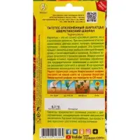 Набор семян Бархатцы "Имеретинский шафран", отклоненные, , 5 шт. Набор семян Бархатцы "Имеретинский шафран", отклоненные, , 5 шт.