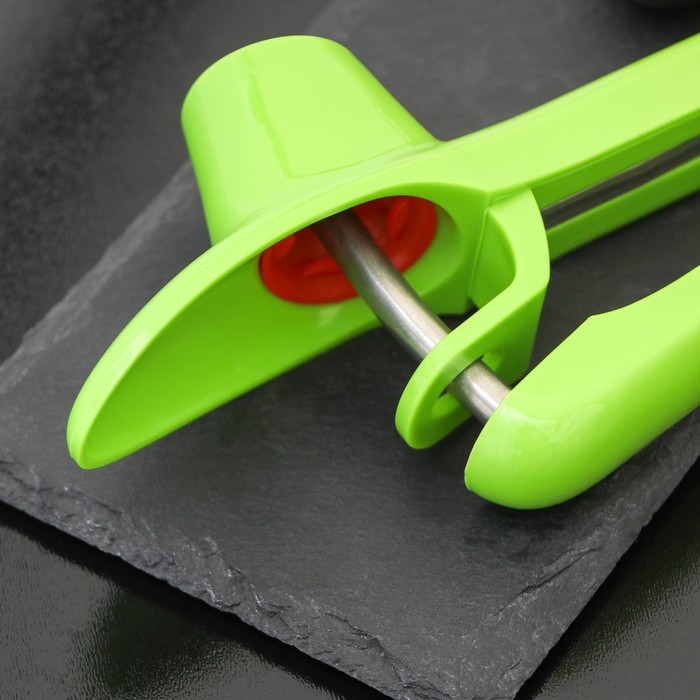 Удалитель косточки Доляна «Эдда», 20 см, цвет зелёный Удалитель косточки Доляна «Эдда», 20 см, цвет зелёный