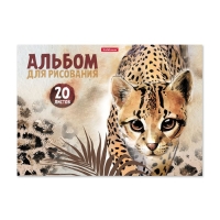 Альбом для рисования А4, 20 листов, блок 120 г/м², на клею, Erich Krause "Wild Cat", 100% белизна, твердая подложка