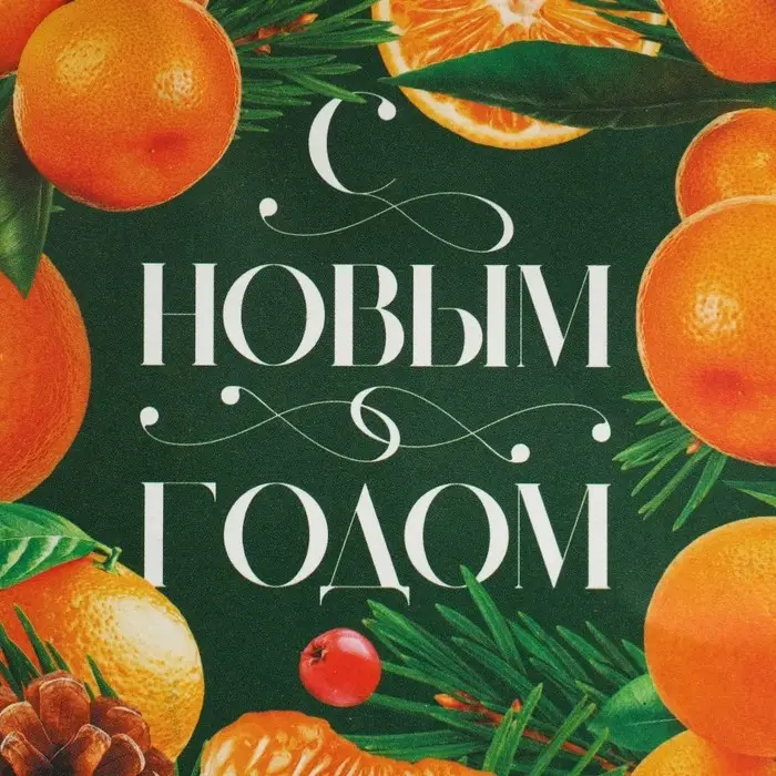 Пакет подарочный новогодний крафтовый «Мандариновое настроение», 15 х 10 х 6 см Пакет подарочный новогодний крафтовый «Мандариновое настроение», 15 х 10 х 6 см