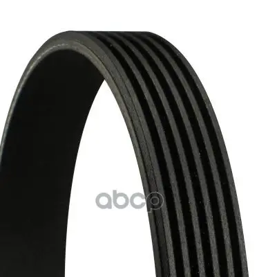 ремень рутейковый CONTITECH Continental арт. 6PK2498