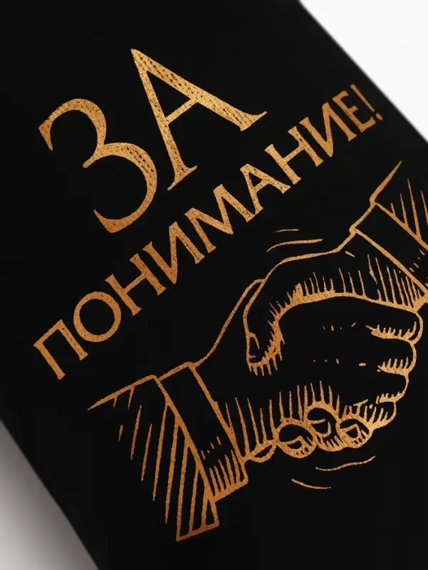 Стопки в чехле &laquo;За понимание!&raquo;: нержавеющая сталь, набор 3 шт.&times;30 мл