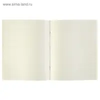 Тетрадь предметная 48 листов в клетку Calligrata, «Чёрное-белое. Физика», обложка мелованная бумага, серые листы