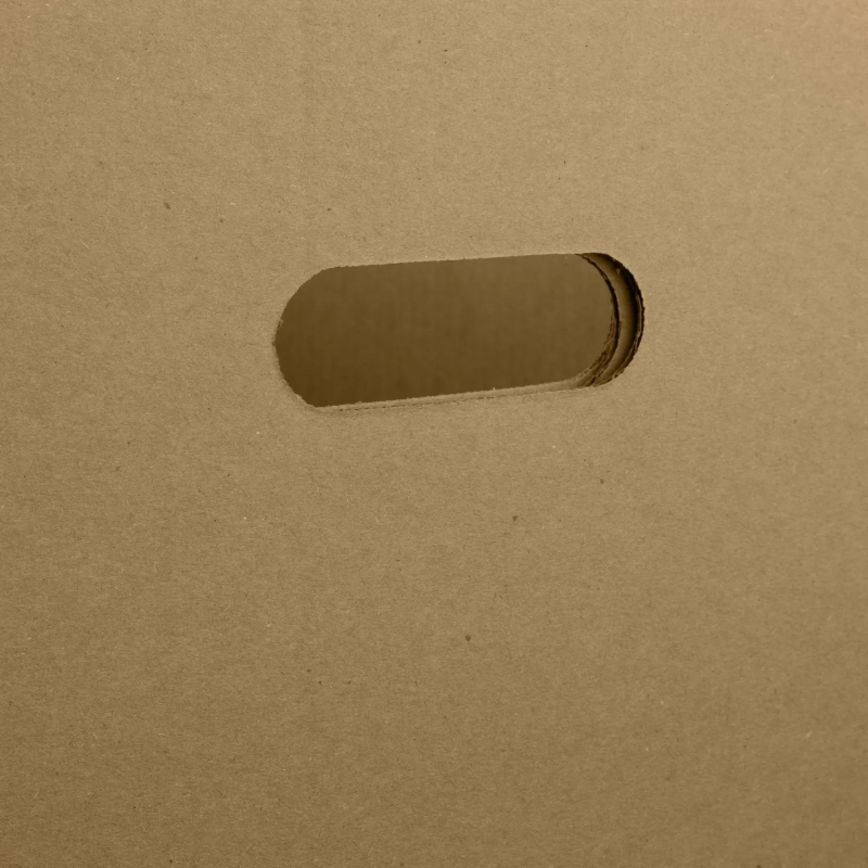 Короб архивный Делопроизводство 480x325x295мм T25B бурый