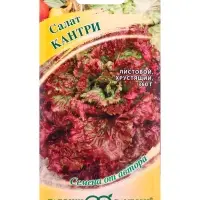 Семена Салат &laquo;Кантри&raquo; листовой, 0.5 г