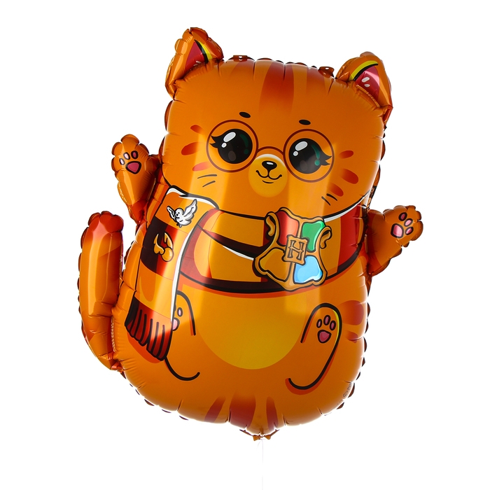 Воздушный шар фольгированный 28 Воздушный шар фольгированный 28" «Котик-волшебник», набор 50 шт.