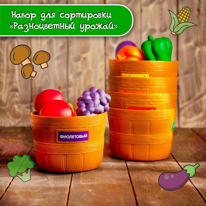 Набор для сортировки «Разноцветный урожай», по методике Монтессори Набор для сортировки «Разноцветный урожай», по методике Монтессори