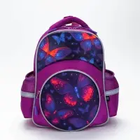 Рюкзак школьный, с эргономичной спинкой, 2 отделения &laquo;Бабочки&raquo;