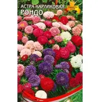 Набор семян Астра карлик &laquo;Рондо&raquo;, смесь, 100 семян