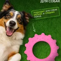 Жевательная игрушка для собак &laquo;Кольцо с шипами&raquo;, 8.5 см, TPR, розовая