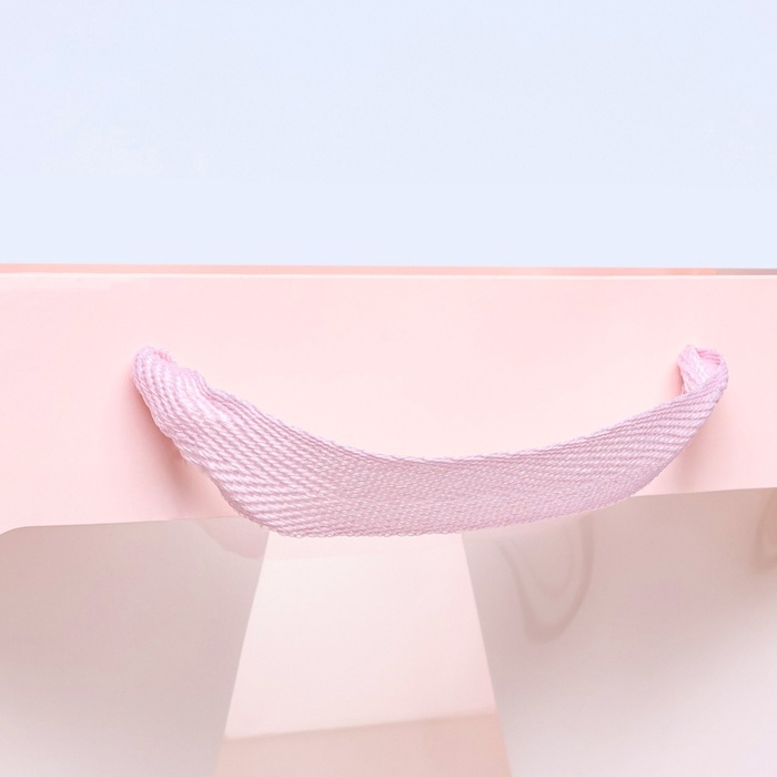 Пакет подарочный, крафт, с окном, «Розовый», 20 х 20 х 20 см Пакет подарочный, крафт, с окном, «Розовый», 20 х 20 х 20 см