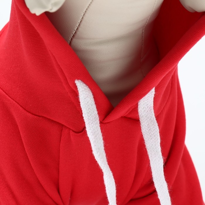 Костюм для животных Костюм для животных "Дед Мороз", размер 2XL, красный