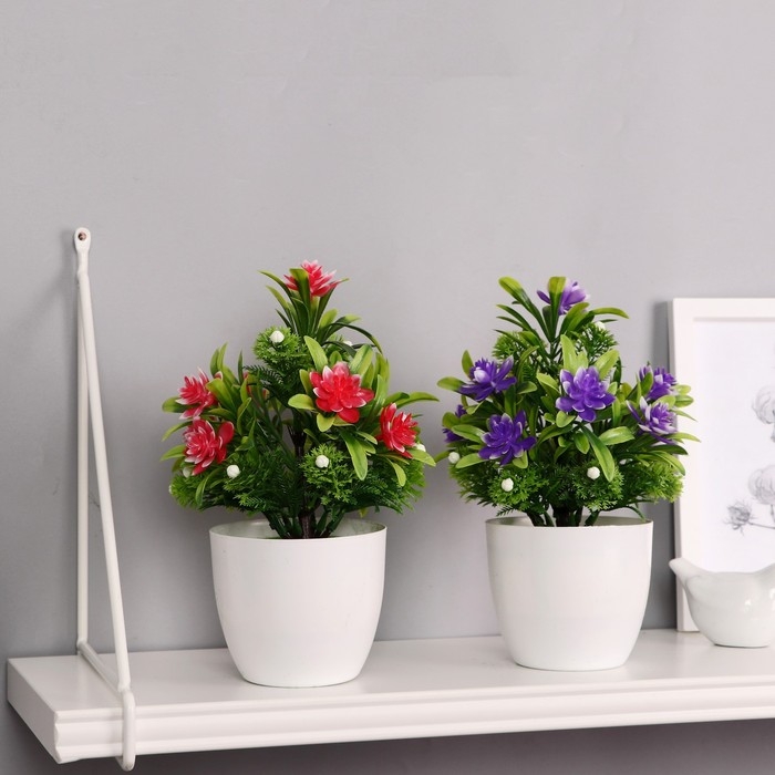 Бонсай в горшке Бонсай в горшке "Праздничный цветник" 9х21 см, микс