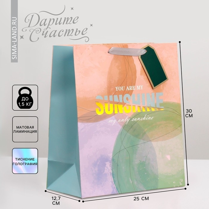 Пакет подарочный ламинированный, упаковка, «Солнце моё», 25.4 х 30.5 х 12.7 см Пакет подарочный ламинированный, упаковка, «Солнце моё», 25.4 х 30.5 х 12.7 см