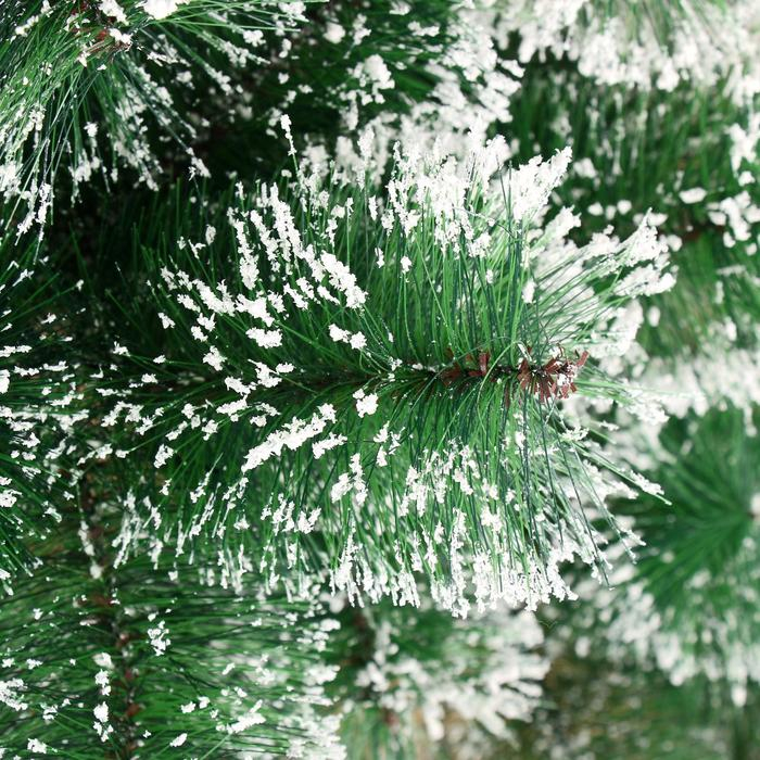 Кедр зеленый снег 180 см, d нижнего яруса 100 см, d иголок 10 см, 235 веток, металл подставка Кедр зеленый снег 180 см, d нижнего яруса 100 см, d иголок 10 см, 235 веток, металл подставка