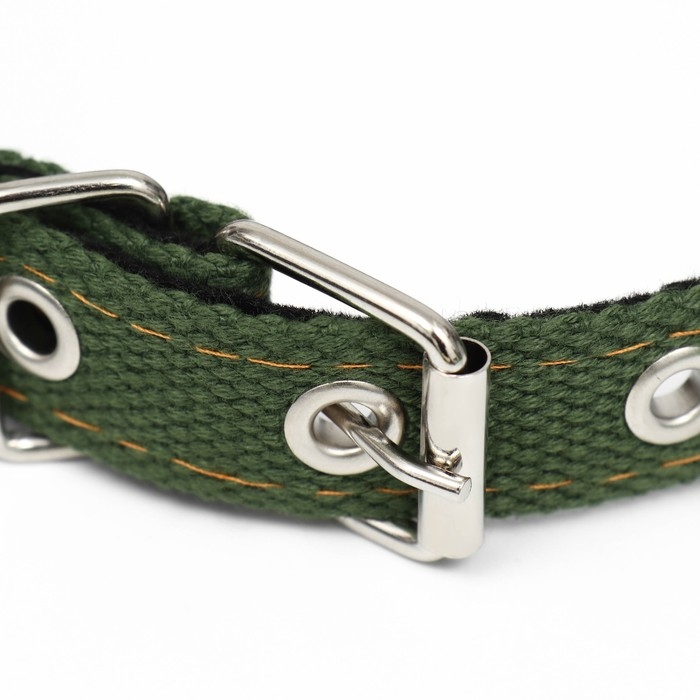 Ошейник брезентовый с подкладом, 52 х 2 см, хаки Ошейник брезентовый с подкладом, 52 х 2 см, хаки