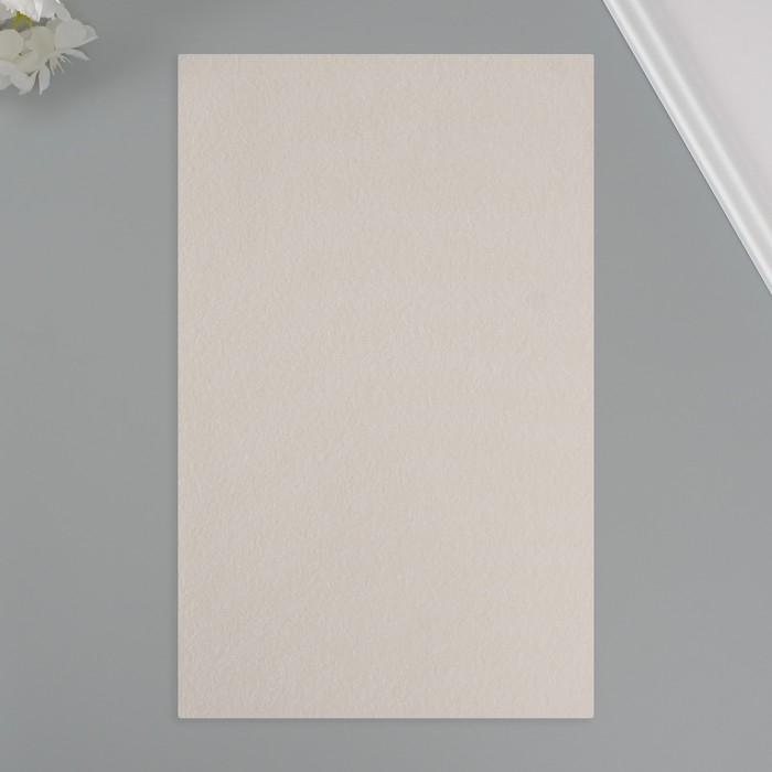 Лист для творчества иск.кожа Лист для творчества иск.кожа "Личи. Перламутр" серебро лист 33х20 см толщина 0,9 мм