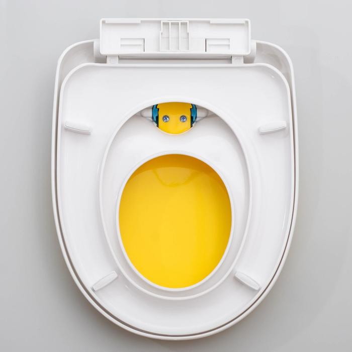 Сиденье для унитаза с крышкой, 42×37 см, двойное Сиденье для унитаза с крышкой, 42×37 см, двойное