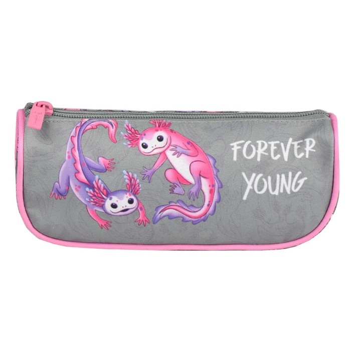 Пенал мягкий, 1 отделение, 95 х 200 х 45 мм, объёмный, Феникс Пенал мягкий, 1 отделение, 95 х 200 х 45 мм, объёмный, Феникс "Парочка аксолотлей" серый/розовый 64180