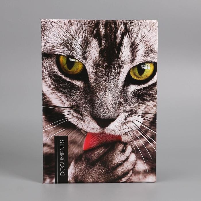 Папка для документов «Docs», 8 файлов А4 Папка для документов «Docs», 8 файлов А4