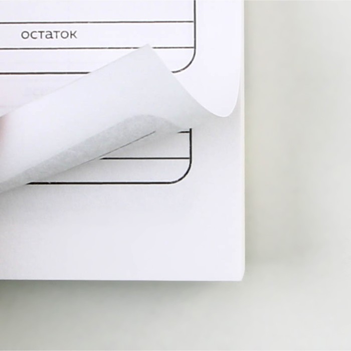 Умный блокнот CashBook А6, 68 листов &laquo;Советы енотика&raquo;