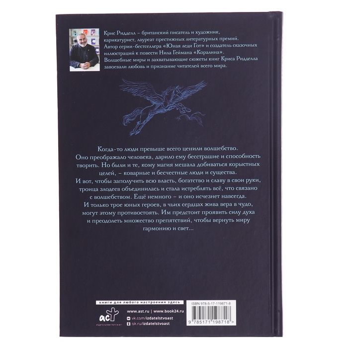 Хроники небесных лошадок. Стражники магии. Ридделл К. Хроники небесных лошадок. Стражники магии. Ридделл К.