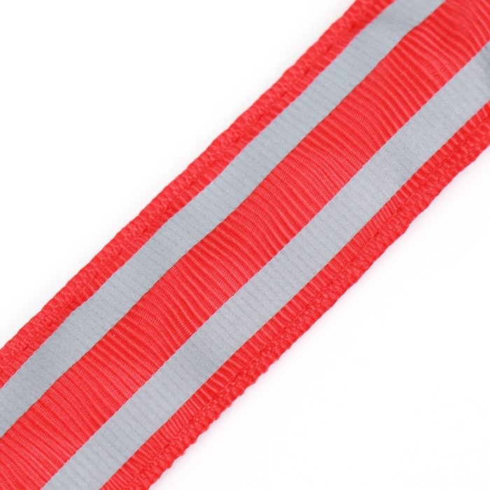 Ошейник с подсветкой Двойная полоса размер М, ОШ 40-48 х 2,5 см, 3 режима свечения красный Ошейник с подсветкой Двойная полоса размер М, ОШ 40-48 х 2,5 см, 3 режима свечения красный