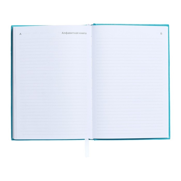 Ежедневник датированный 2025 года, deVENTE. Flag, A5 168 листов, Attomex. Even, твердая обложка бумвинил с поролоном, шелкография, ляссе, блок 70 г/м2, бирюзовый Ежедневник датированный 2025 года, deVENTE. Flag, A5 168 листов, Attomex. Even, твердая обложка бумвинил с поролоном, шелкография, ляссе, блок 70 г/м2, бирюзовый