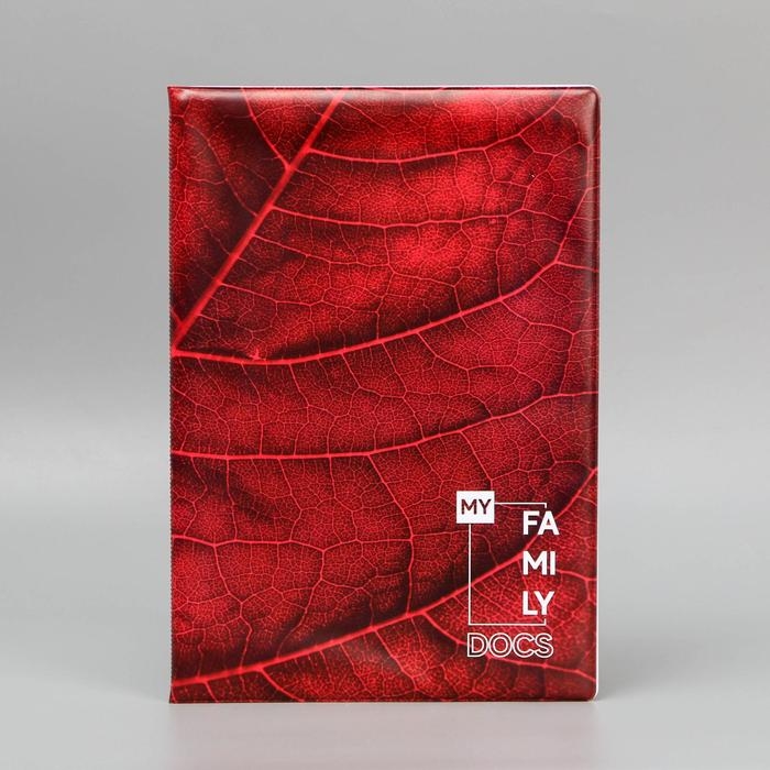 Папка для семейных документов «Docs», 8 файлов А4 Папка для семейных документов «Docs», 8 файлов А4