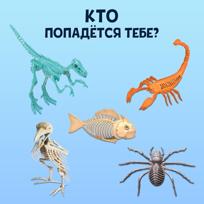 Набор для опытов «Древний мир» Набор для опытов «Древний мир»