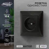 Розетка одноместная Luazon Lighting "Антей", 10 А, скрытая, без з/к, черная