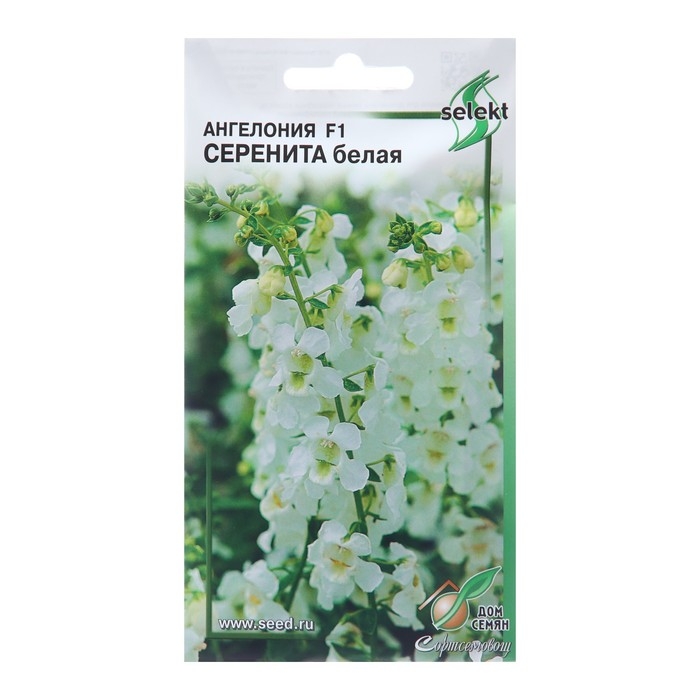 Семена цветов Ангелония  Семена цветов Ангелония "Серенита F1 белая", 3 шт