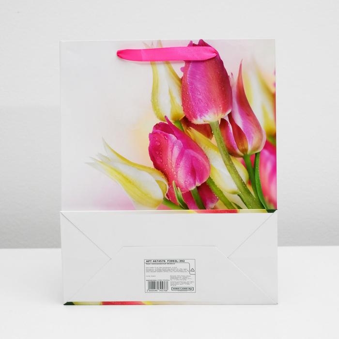 Пакет ламинированный, 26 x 32 x 12 см Пакет ламинированный, 26 x 32 x 12 см