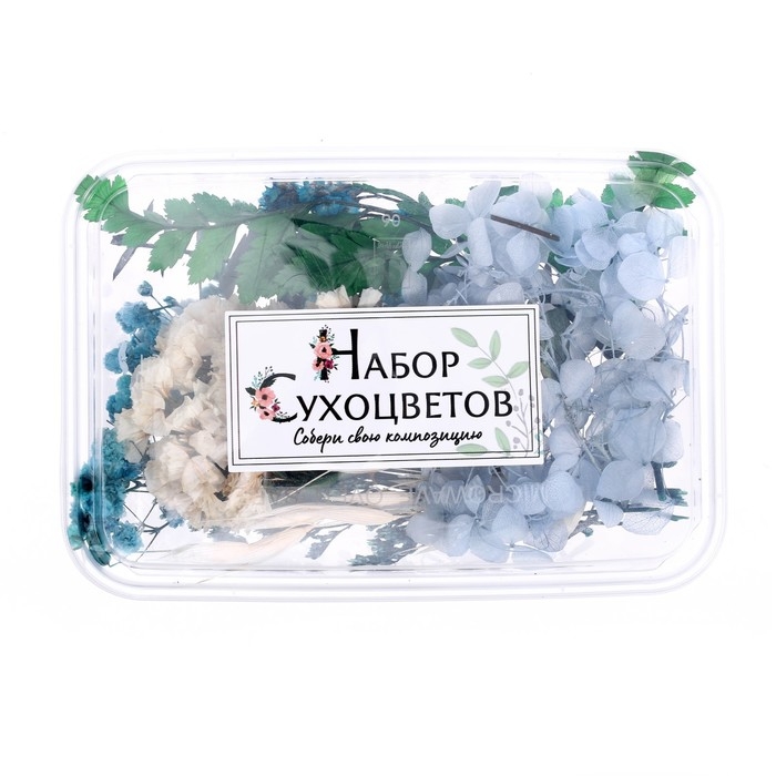 Набор для творчества «Набор сухоцветов», малый, голубой Набор для творчества «Набор сухоцветов», малый, голубой
