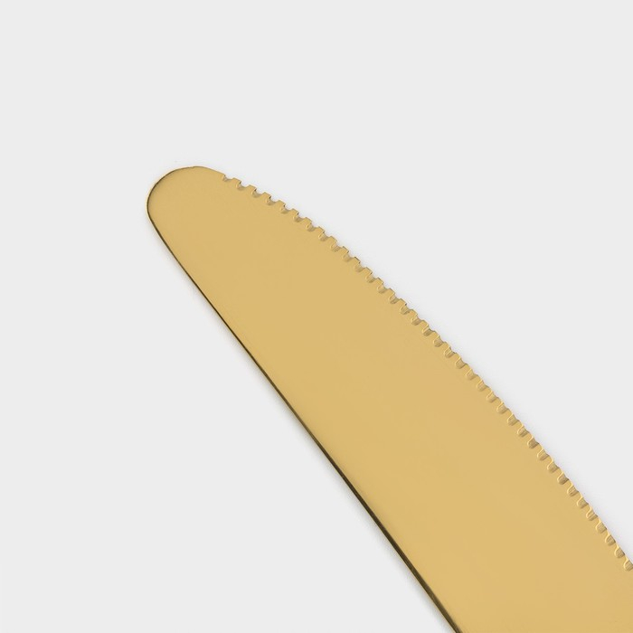 Набор столовых приборов из нержавеющей стали «Золото», 24 предмета, на подставке, цвет золотой Набор столовых приборов из нержавеющей стали «Золото», 24 предмета, на подставке, цвет золотой